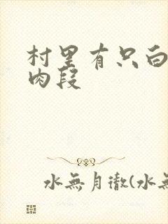 村里有只白骨精肉段