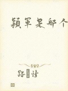 颖军是哪个军阀