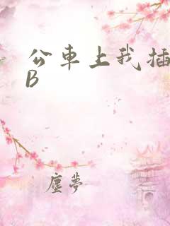公车上我插上骚B