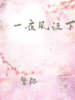 一夜风流下载