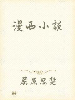 漫西小说