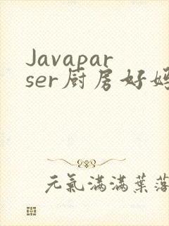 Javaparser厨房好妈妈
