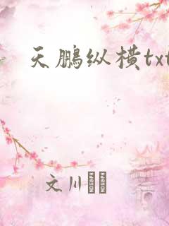 天鹏纵横txt