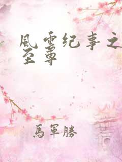 风云纪事之唯武至尊