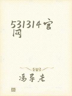531314官网
