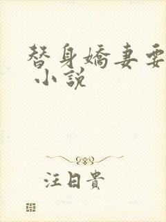 替身娇妻要离婚 小说