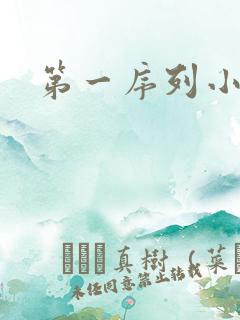 第一序列小说
