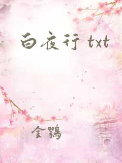 白夜行 txt