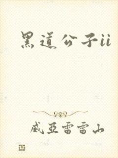 黑道公子ii