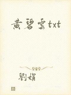 黄碧云txt