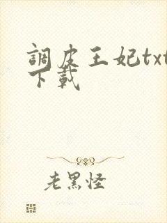 调皮王妃txt下载