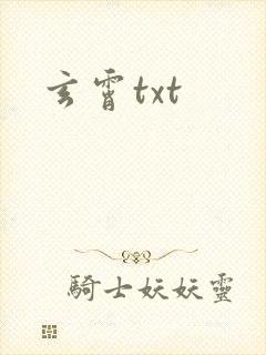 玄霄txt