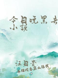 今日晚黑去见你小说