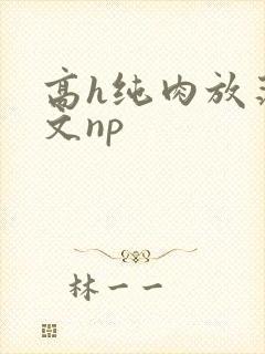 高h纯肉放荡h文np