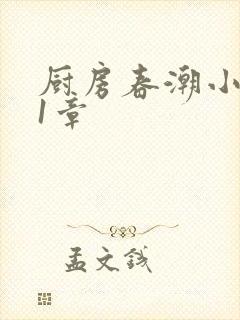 厨房春潮小说第1章