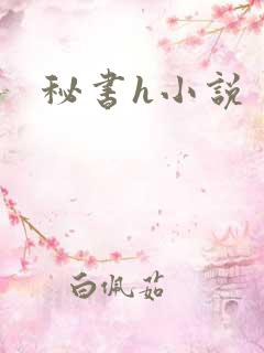 秘书h小说