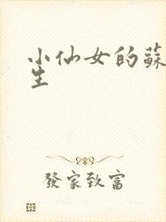 小仙女的苏撩先生