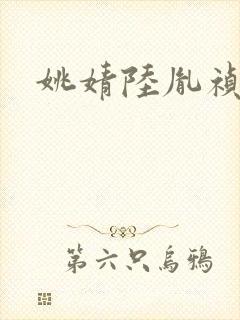 姚婧陆胤祯小说