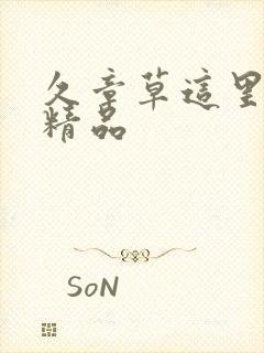 久章草这里只有精品