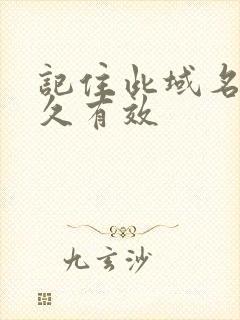 记住此域名记永久有效