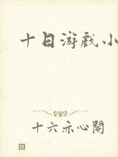 十日游戏小说