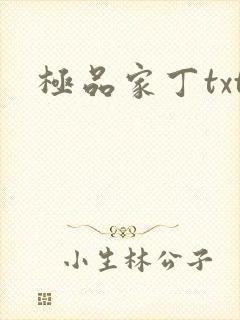 极品家丁txt