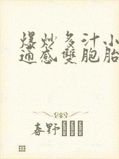 爆炒多汁小美人通感双胞胎