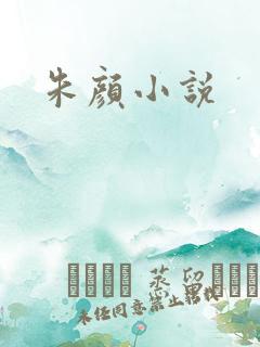 朱颜小说