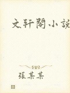 文轩阁小说网