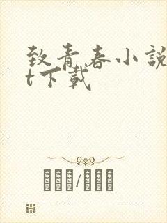 致青春小说txt下载