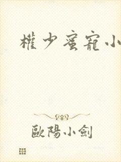 权少蜜宠小娇妻