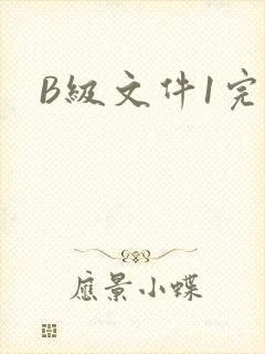 B级文件1完整