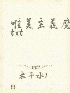 唯美主义魔法师txt