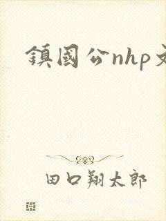镇国公nhp文