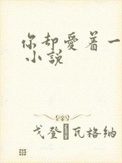 你却爱着一个他 小说