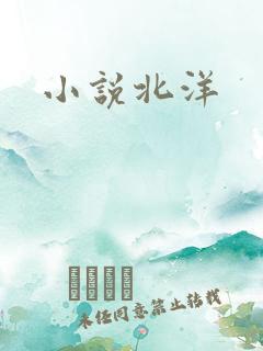 小说北洋