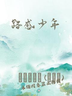 路感少年