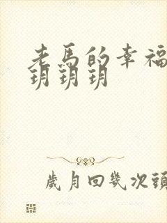 老马的幸福生活玥玥玥