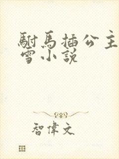 驸马插公主恋战雪小说