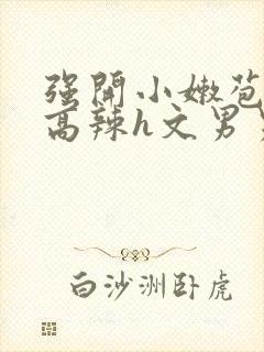 强开小嫩苞h文高辣h文男男