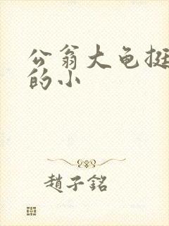 公翁大龟挺进我的小