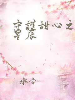 守护甜心之暗夜星辰