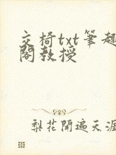 交椅txt笔趣阁教授