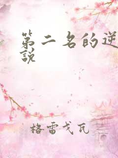 第二名的逆袭小说