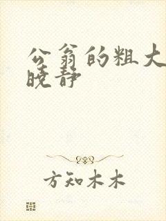 公翁的粗大放进晓静