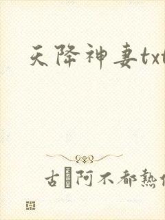 天降神妻txt