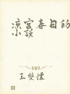 凉宫春日的忧郁小说