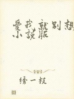 爱我就别想太多小说版