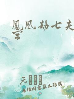 凤凰劫七夫乱后宫
