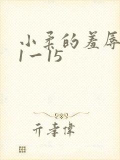 小柔的羞辱日记1一15